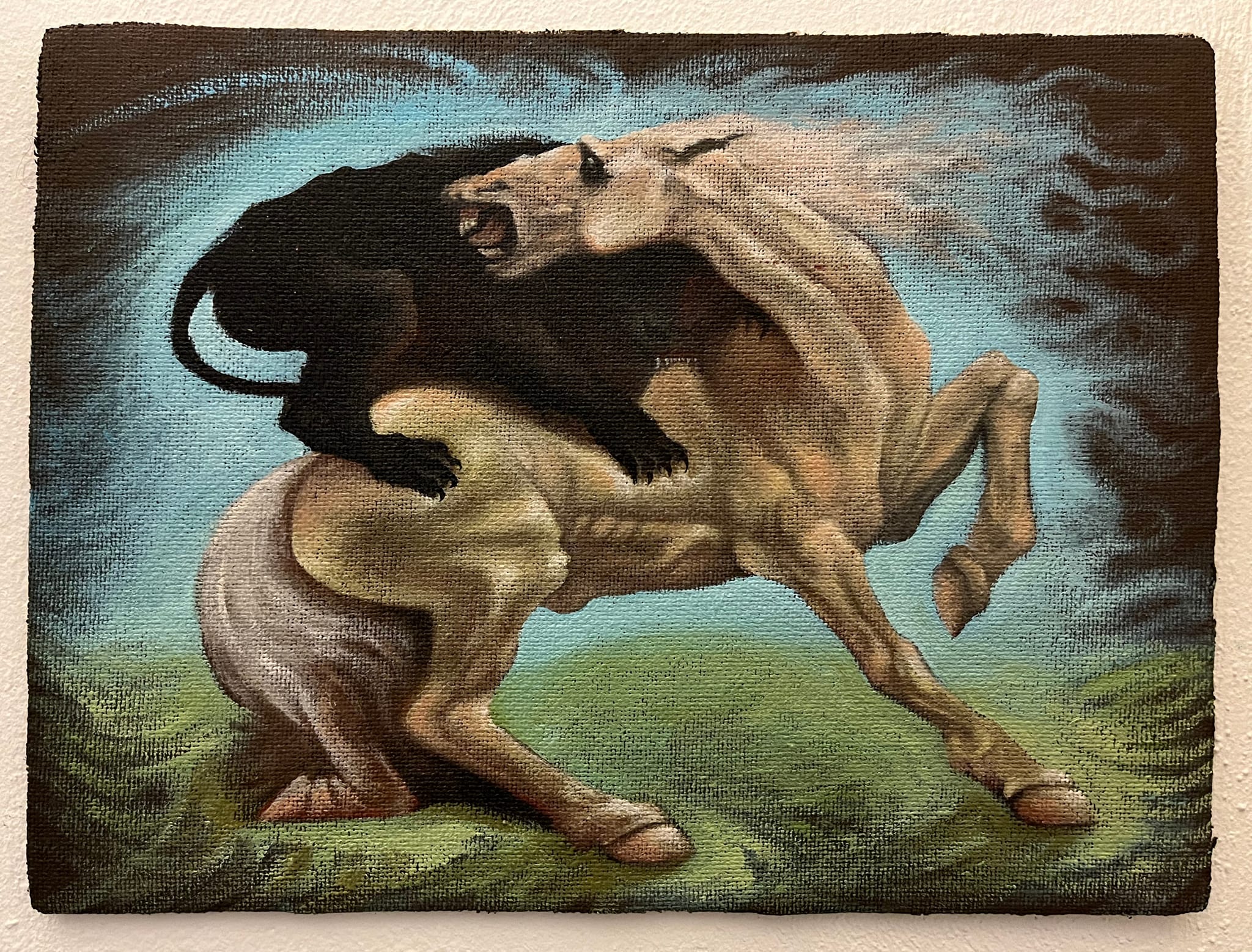 Man In Black And White Striped Long Sleeve Shirt Holding Black Camera